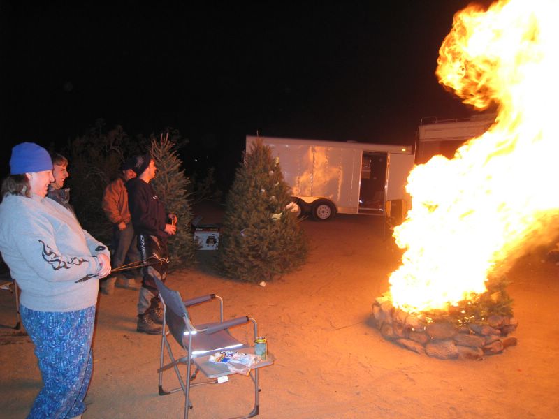 The first xmas tree goes up