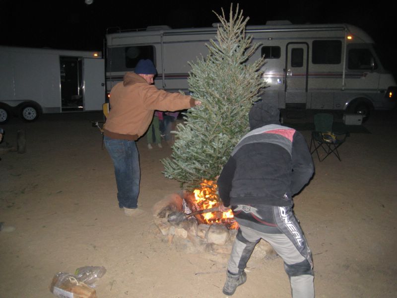 Another tree sacrafice